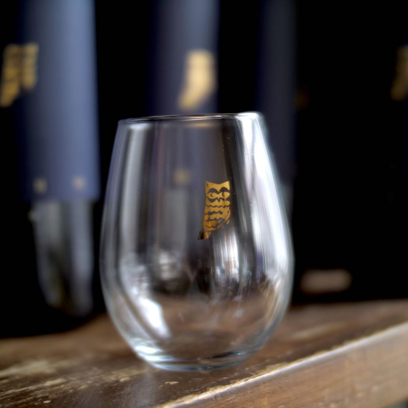 little owl Souvenir Wine Glass